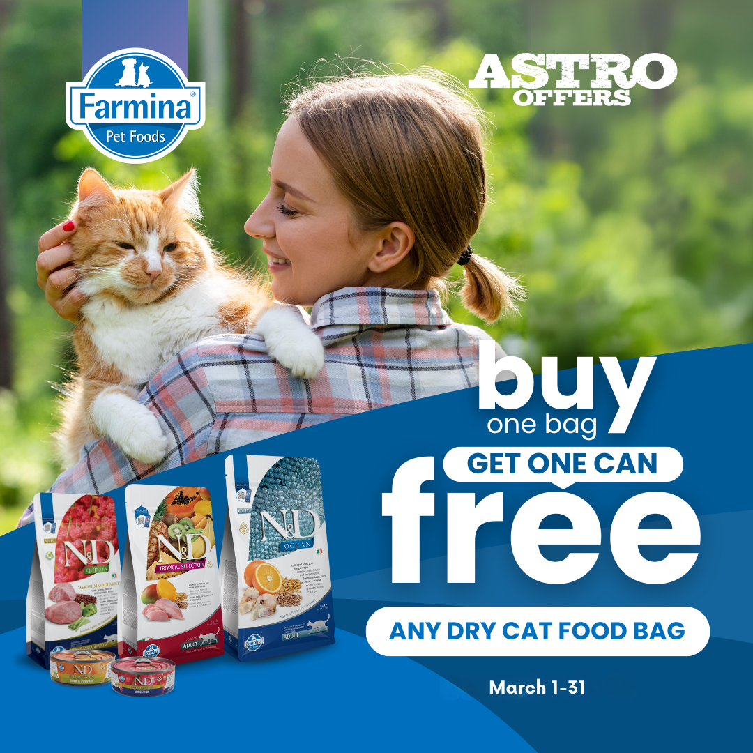 Promotion Image