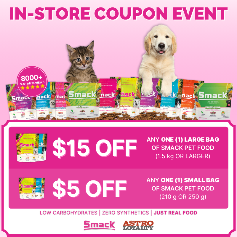 Promotion Image