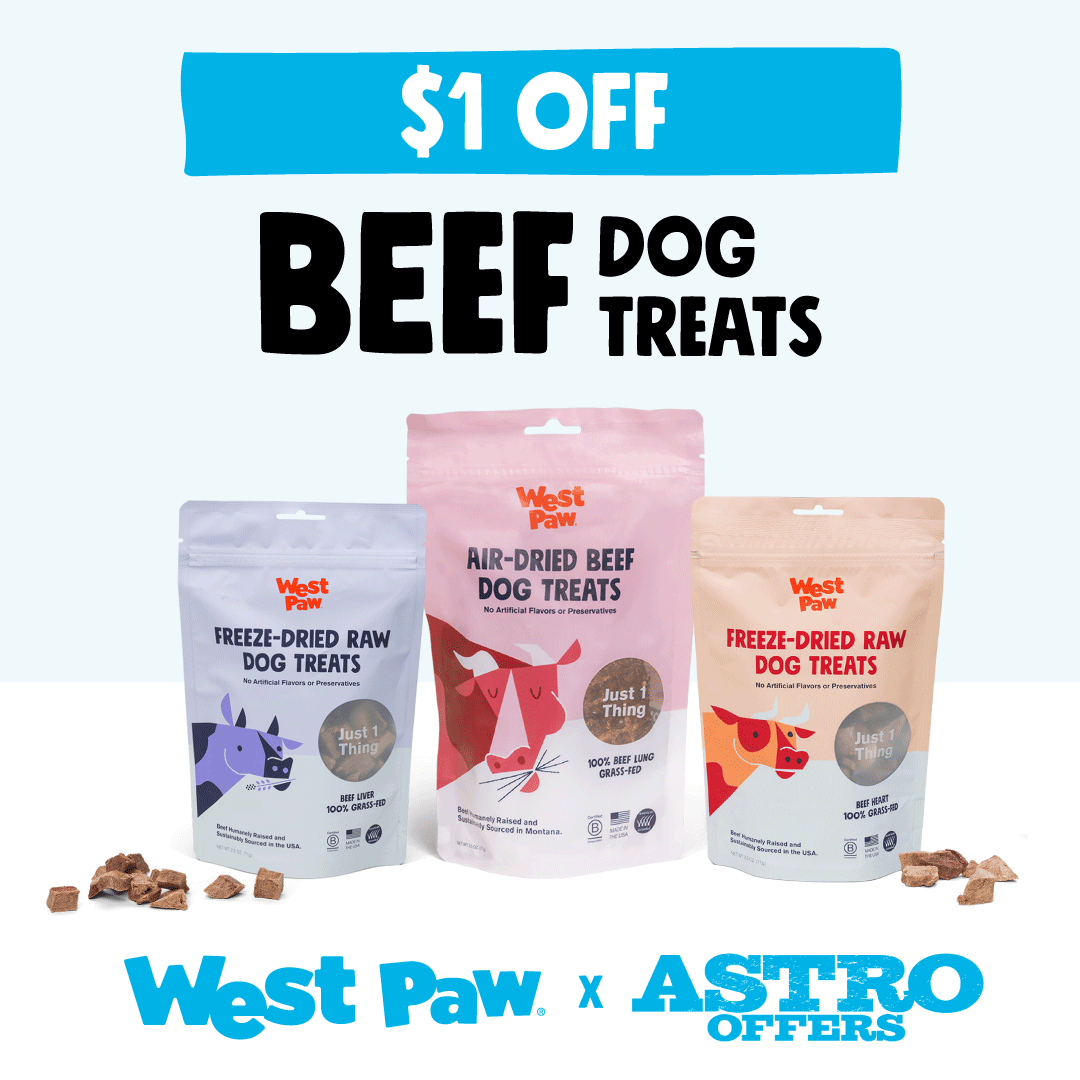 Promotion Image