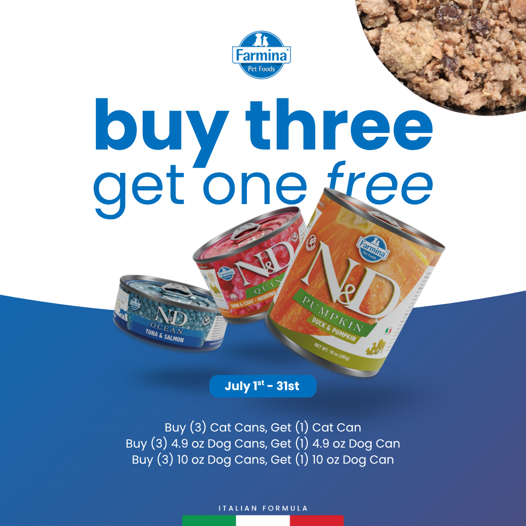 Promotion Image