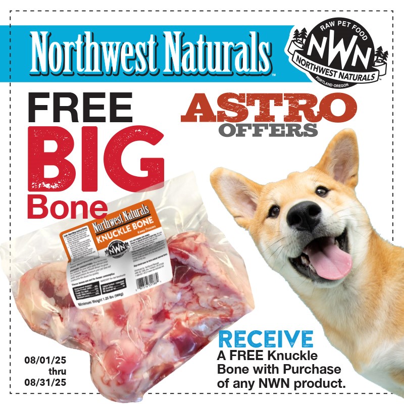 Promotion Image