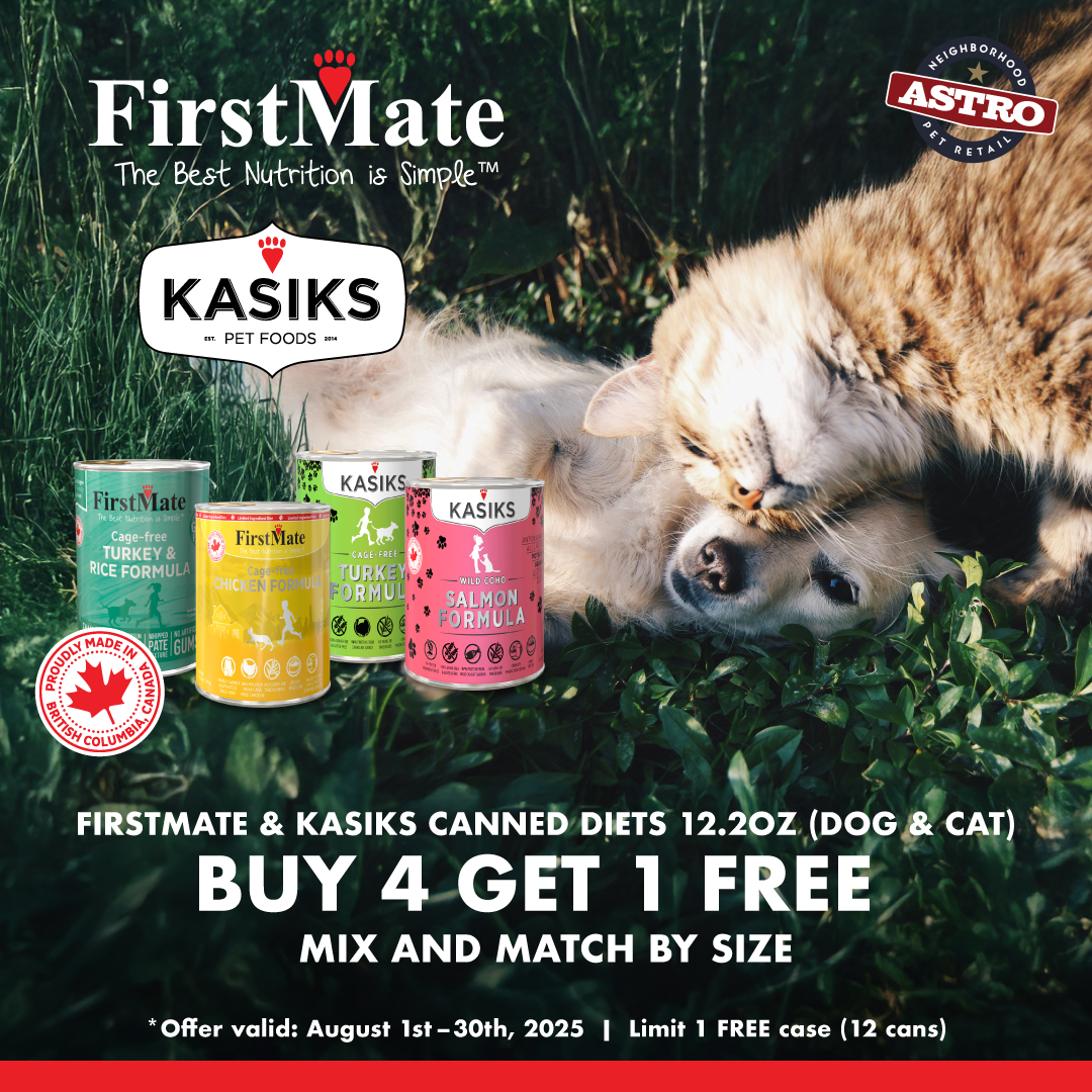 Promotion Image