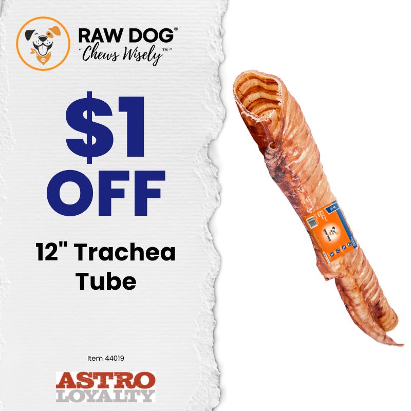 Promotion Image