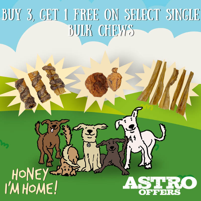 Promotion Image