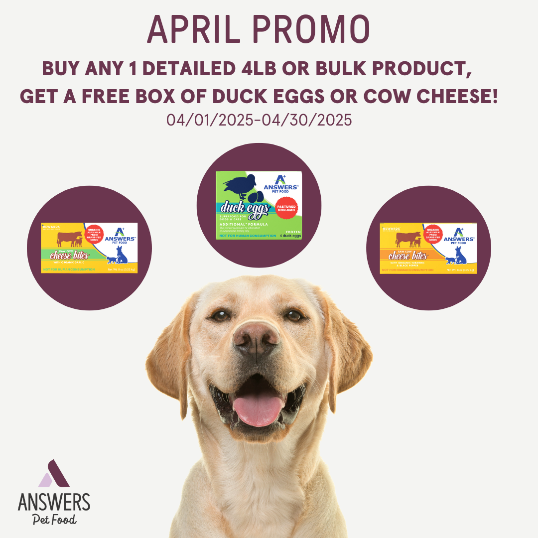 Promotion Image