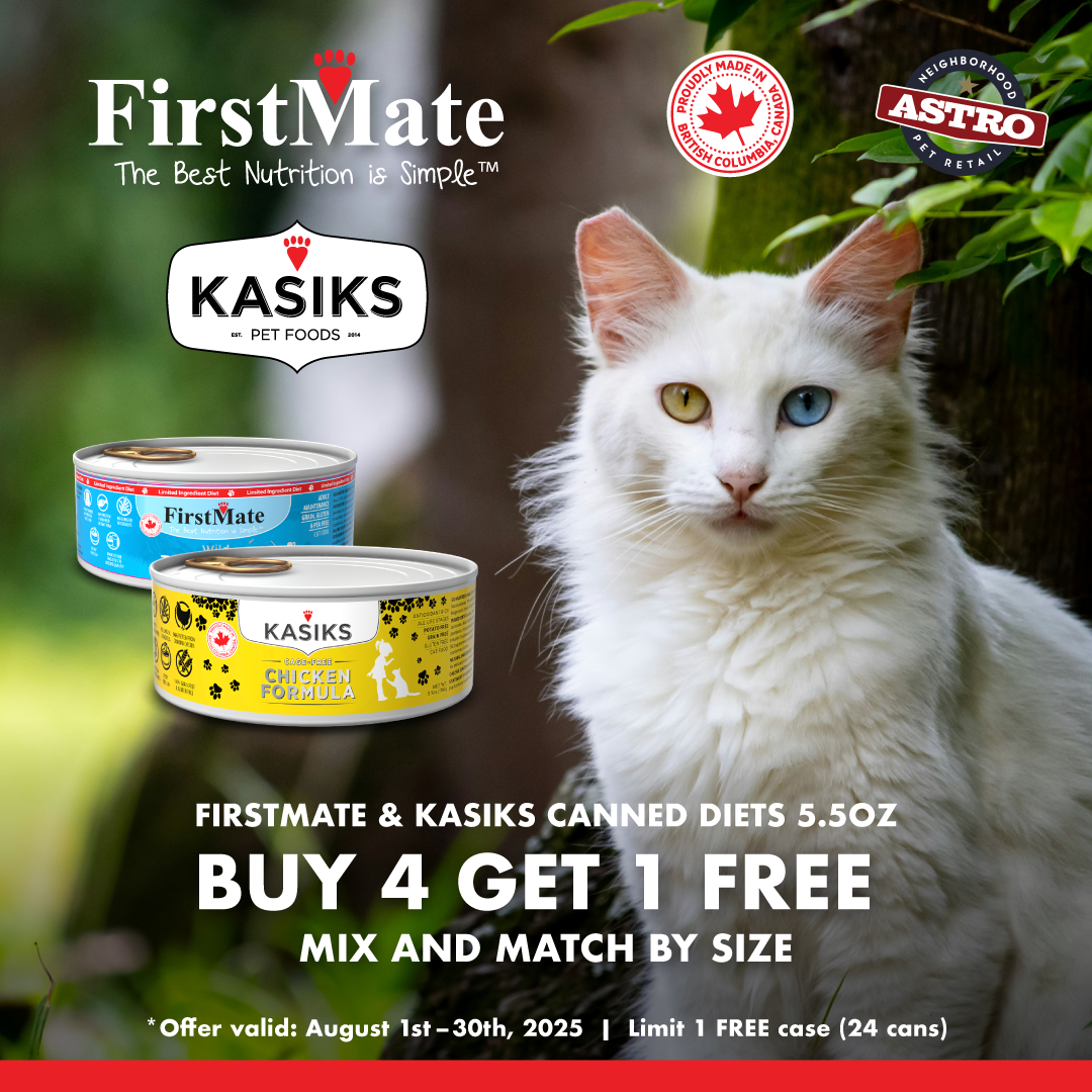 Promotion Image