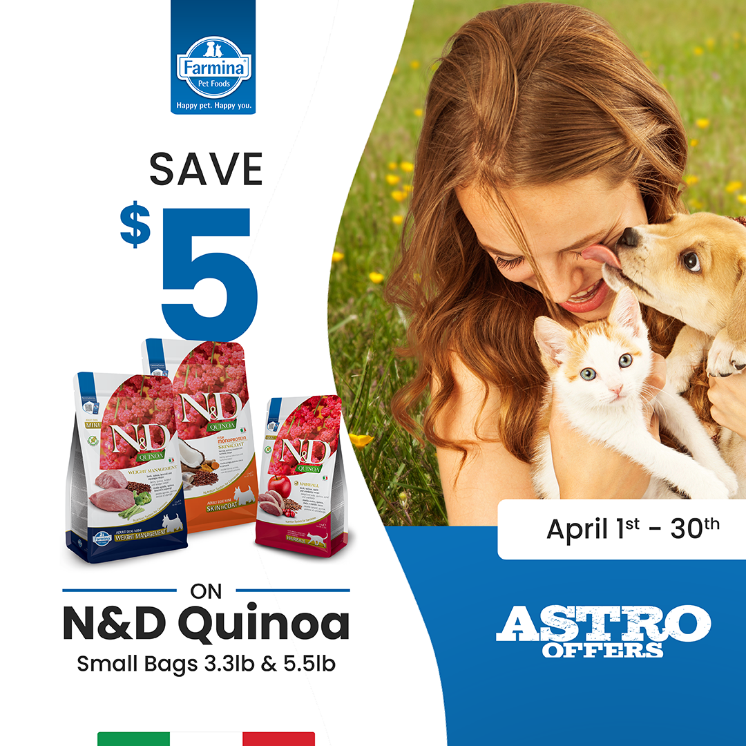 Promotion Image