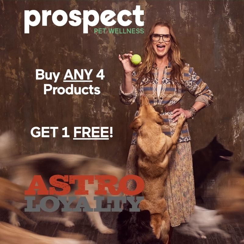 Promotion Image