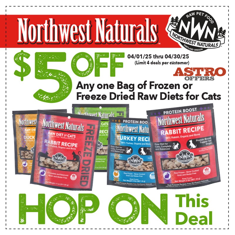 Promotion Image