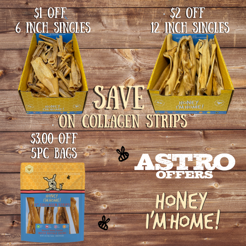 Promotion Image