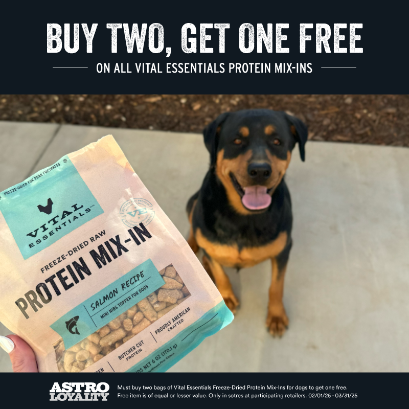 Promotion Image
