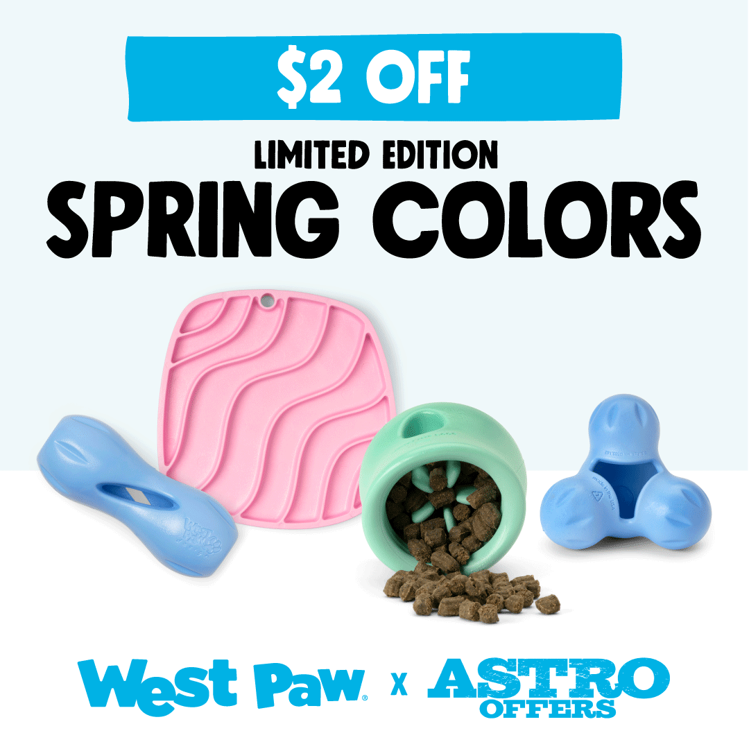 Promotion Image