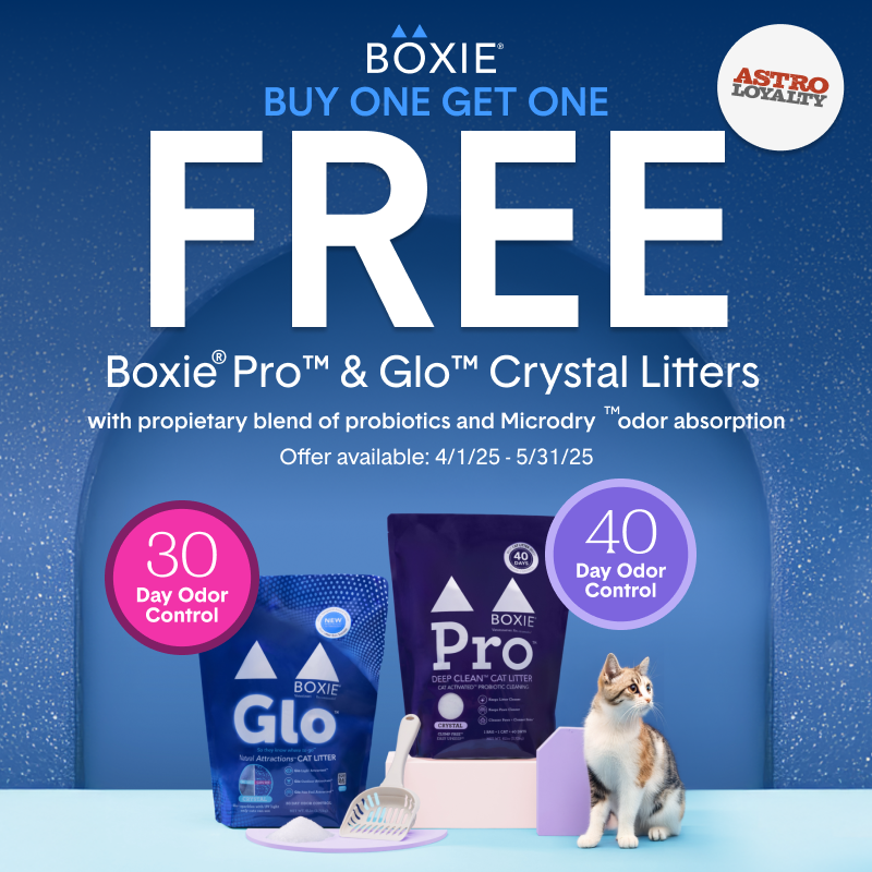 Promotion Image