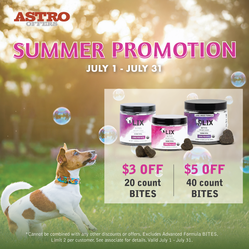Promotion Image