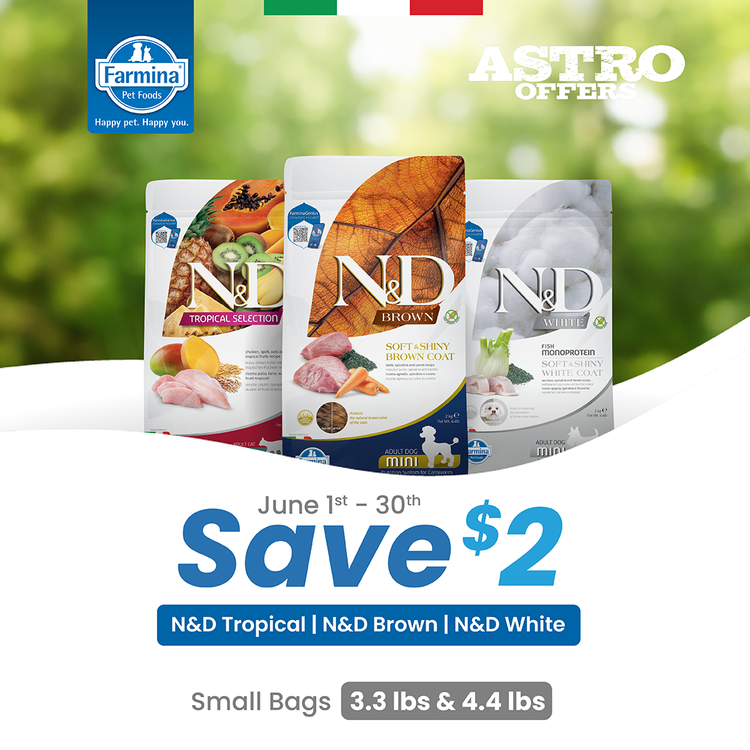 Promotion Image