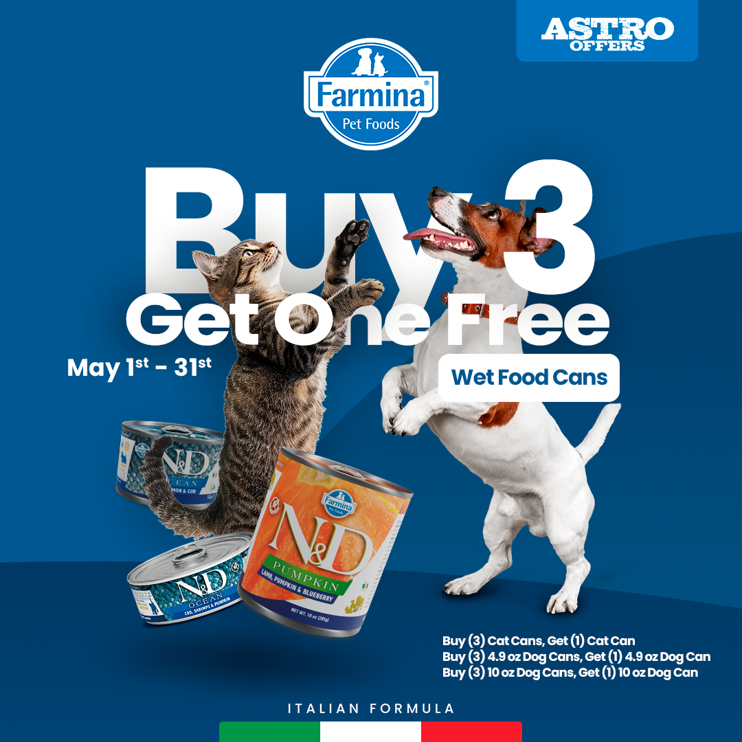Promotion Image