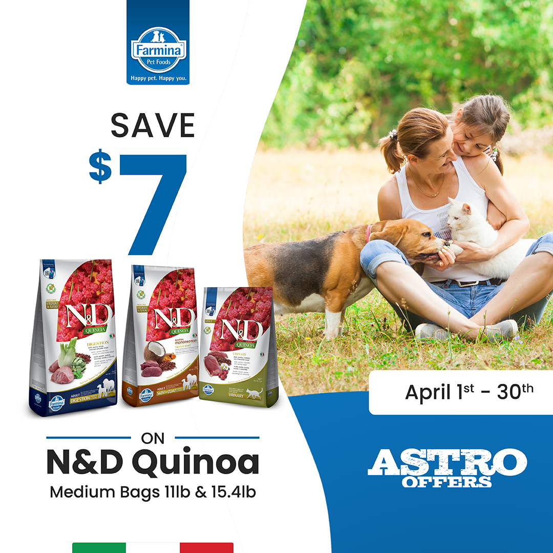 Promotion Image