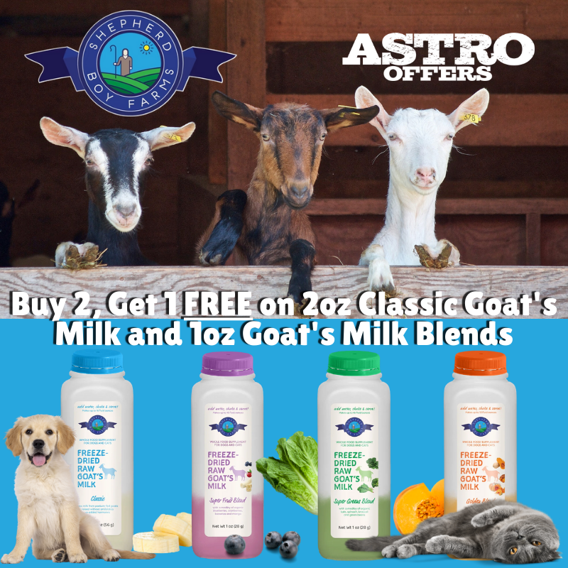 Promotion Image