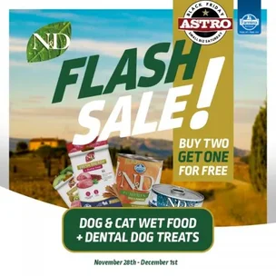 Buy (2) N&D Cat or …