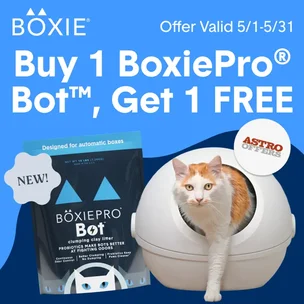 Boxiecat | Buy 1, G…