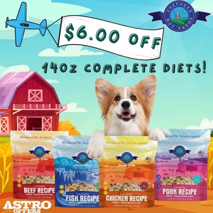 Promotion Image