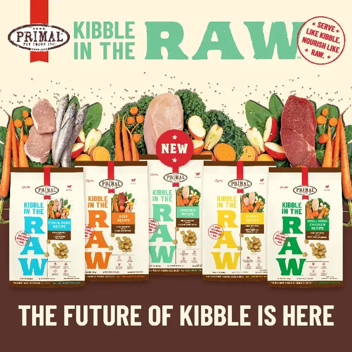 Promotion Image