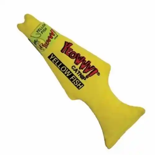Yellow Fish