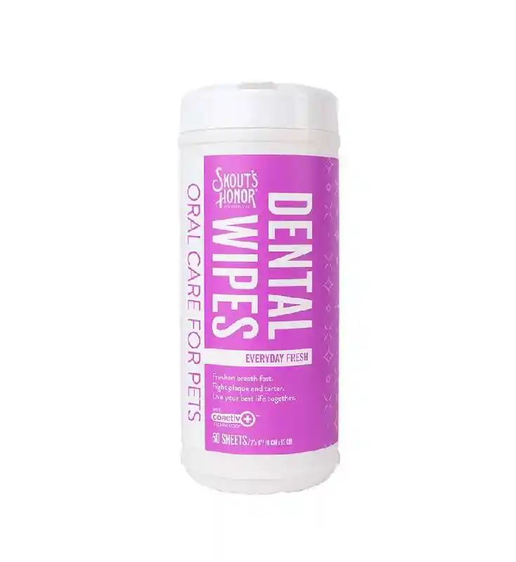 Everyday Fresh Dental Wipes (50 sheets)
