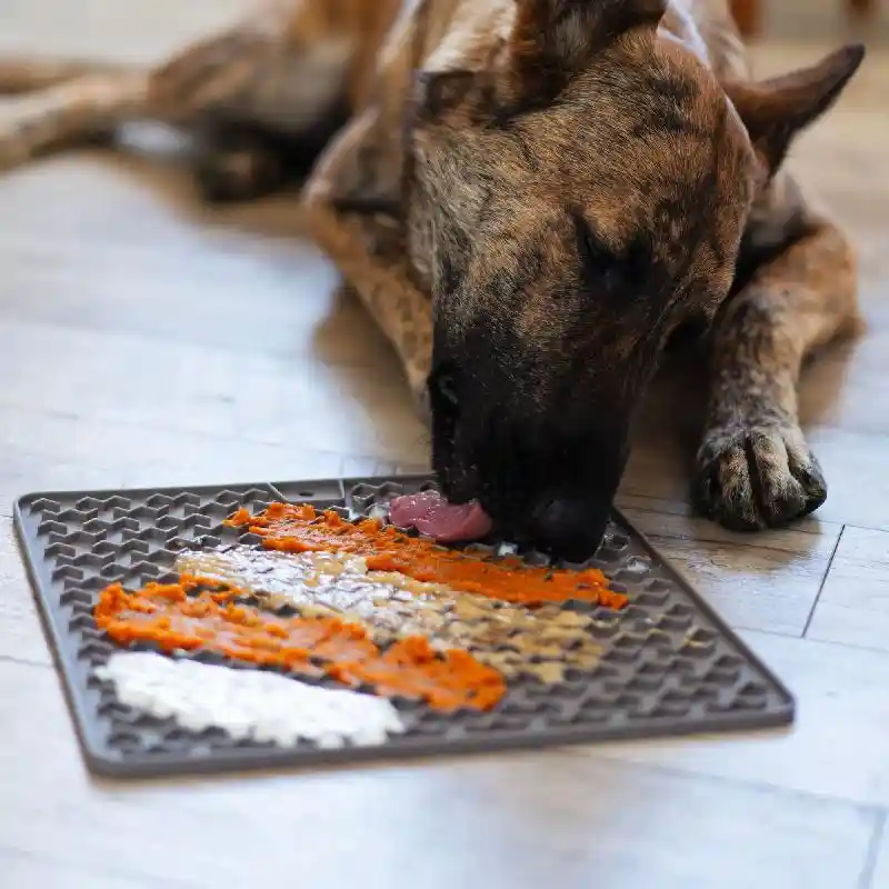 Messy Mutts Lick Mat Grey (Medium)