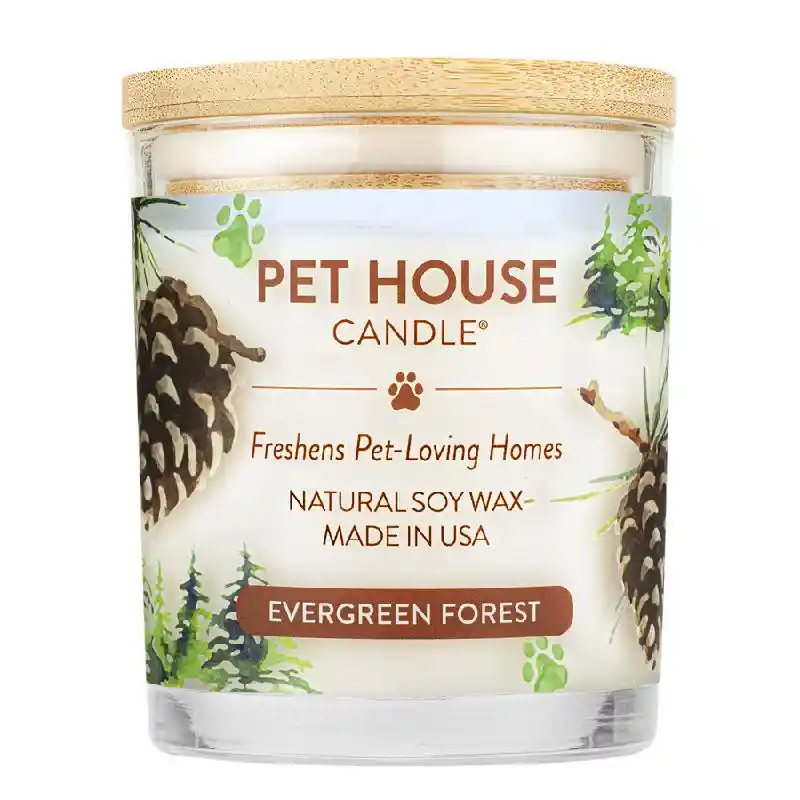 Evergreen Forest Scented Candle