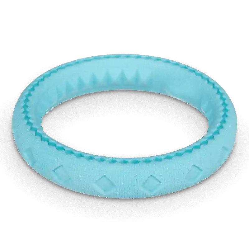Messy Mutts Totally Pooched Chew N' Tug Ring Dog Chew Toy, Teal, 6-in