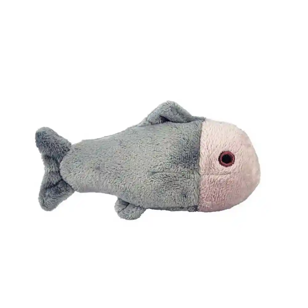 Guppy Fish (Extra Small, 4.5”)