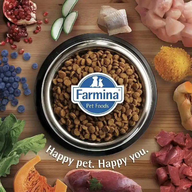 Farmina Nd Quinoa Gf Dog Digestion Lamb 15.4# Med