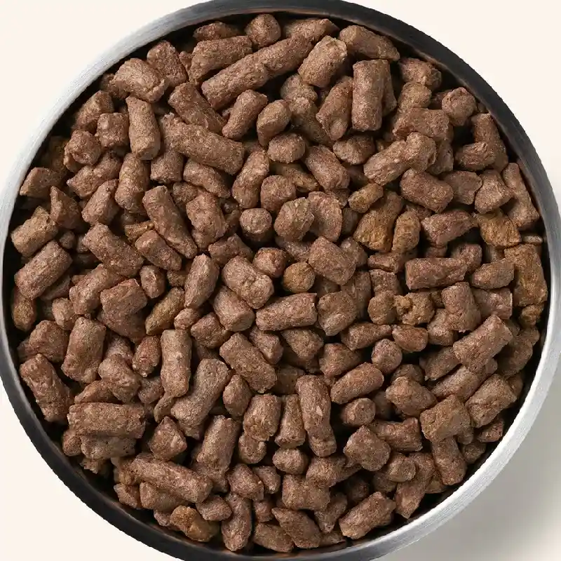 Freeze-dried Raw Beef Entree Dog Food Mini Nibs - 25oz