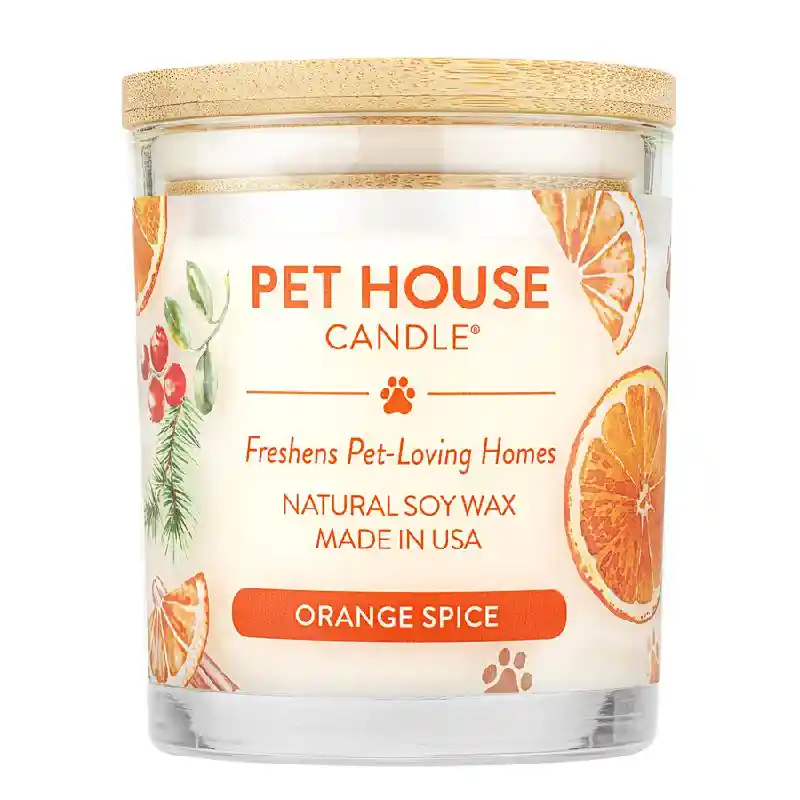 Orange Spice Scented Candle