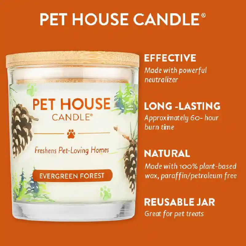 Evergreen Forest Scented Candle