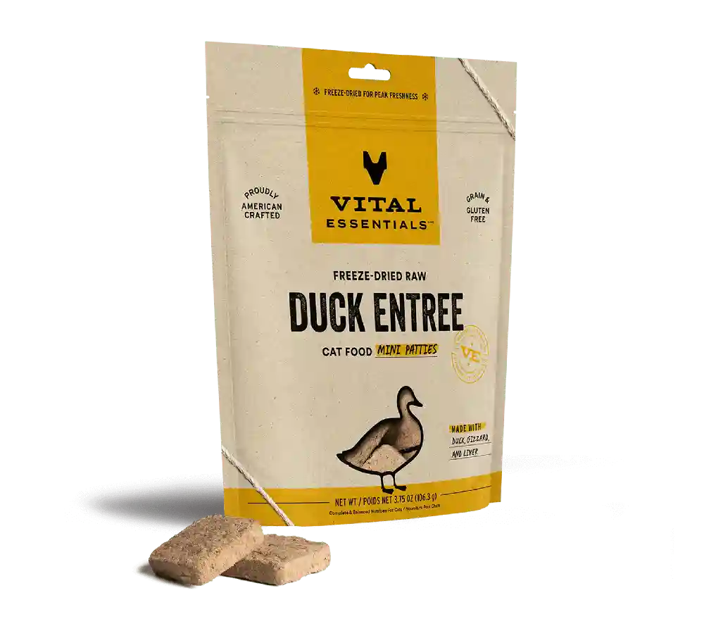 Freeze-dried Raw Turkey Entree Cat Food Mini Patties - 3.5oz
