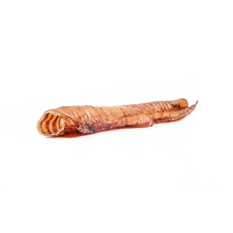Raw Dog 12in Beef Trachea Tube