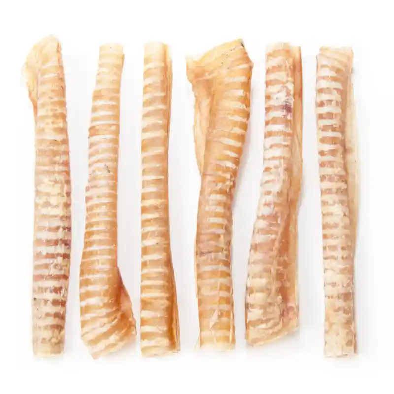 Beef Trachea 12”