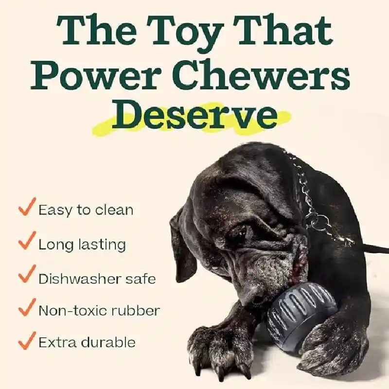 Woof Pupsicle Toy Power Chewer Black Sm
