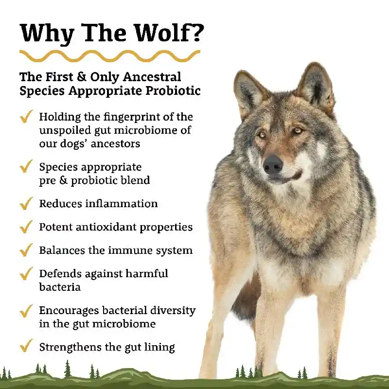 The Wolf Species-Appropriate Probiotic with Wildcrafted Turkey Tail Prebiotic 60mL