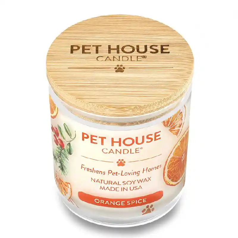 Orange Spice Scented Candle