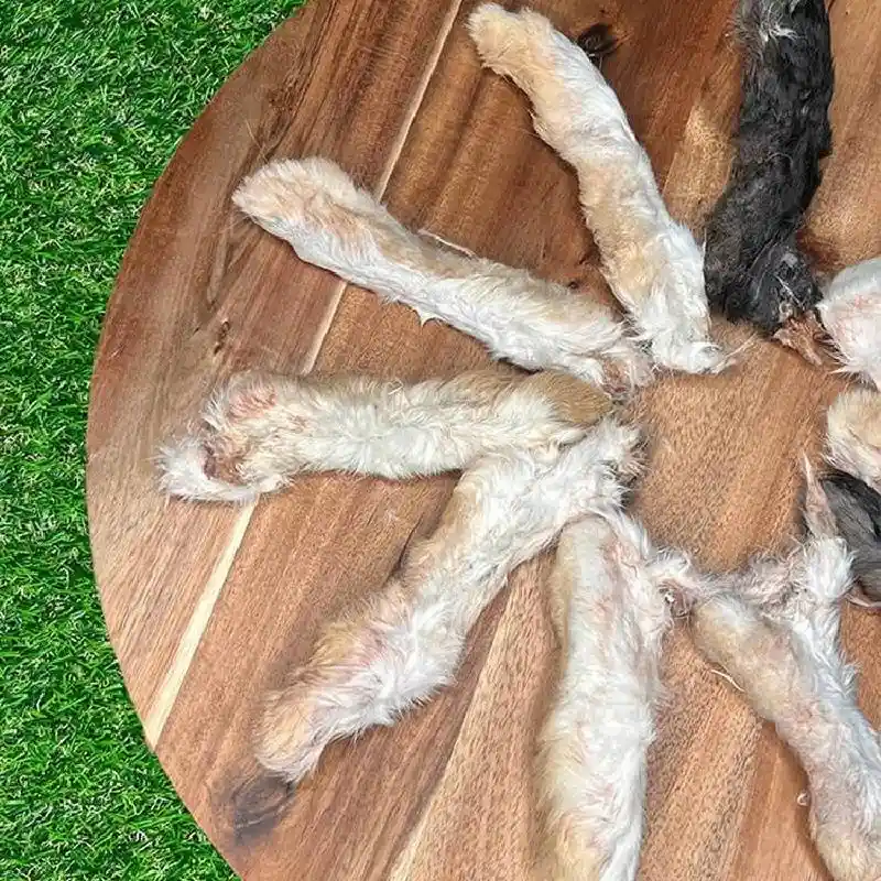 Rabbit Foot