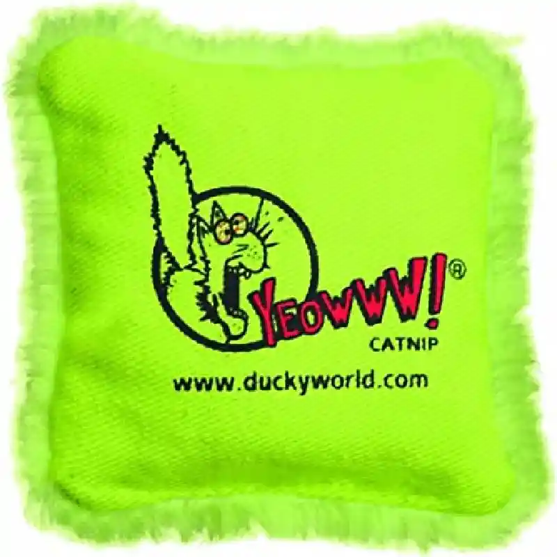 Green Pillow Cat Toy