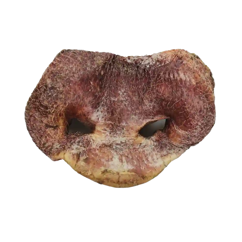 Ve Raw Bar Freeze-dried Raw Pig Snouts Dog Snacks