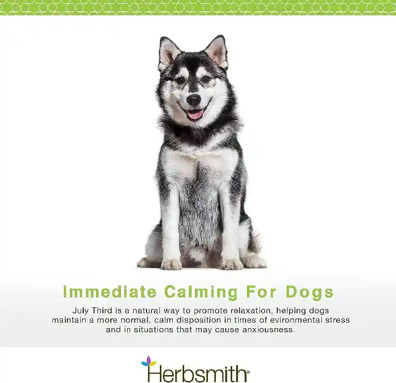 Herbsmith July Third - Large Calming Chews 30ct