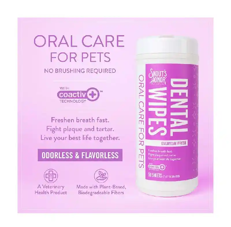 Everyday Fresh Dental Wipes (50 sheets)