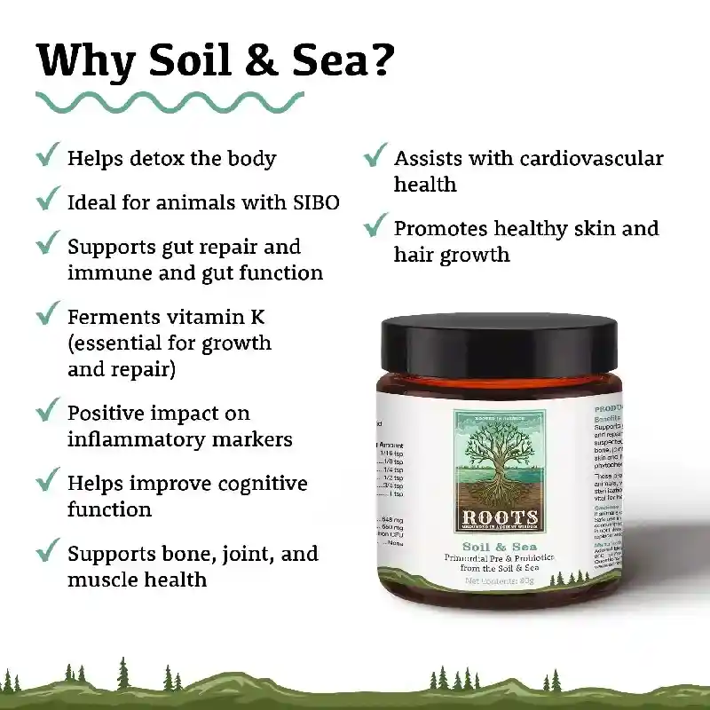 Soil & Sea Primordial Pre & Probiotics for Dogs & Cats 40g