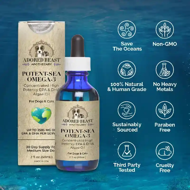 Potent-Sea Omega-3 Concentrated High Potency EPA & DHA Algae Oil 60mL
