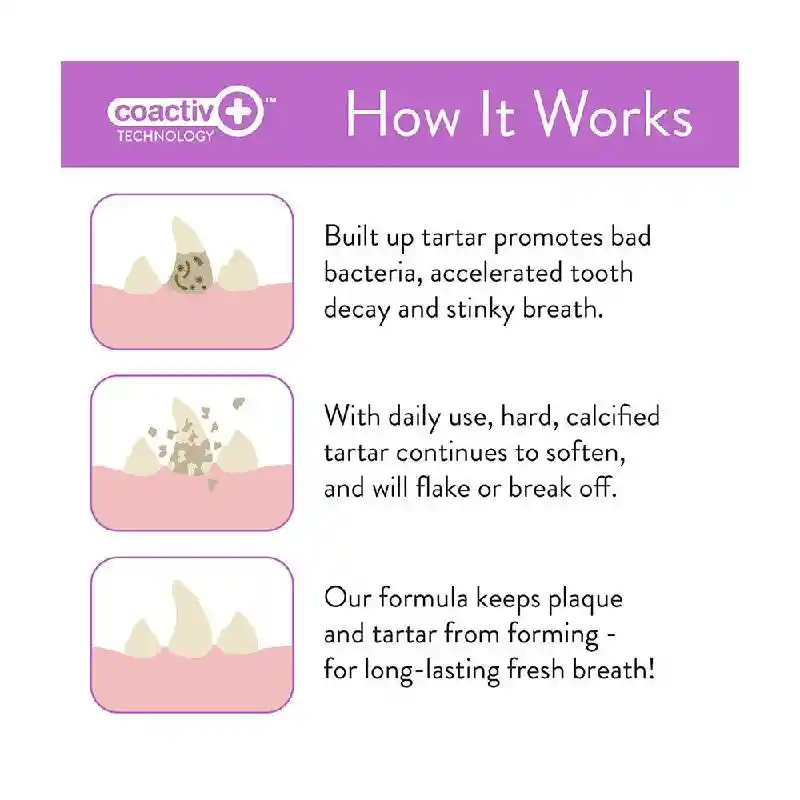 Everyday Fresh Dental Wipes (50 sheets)